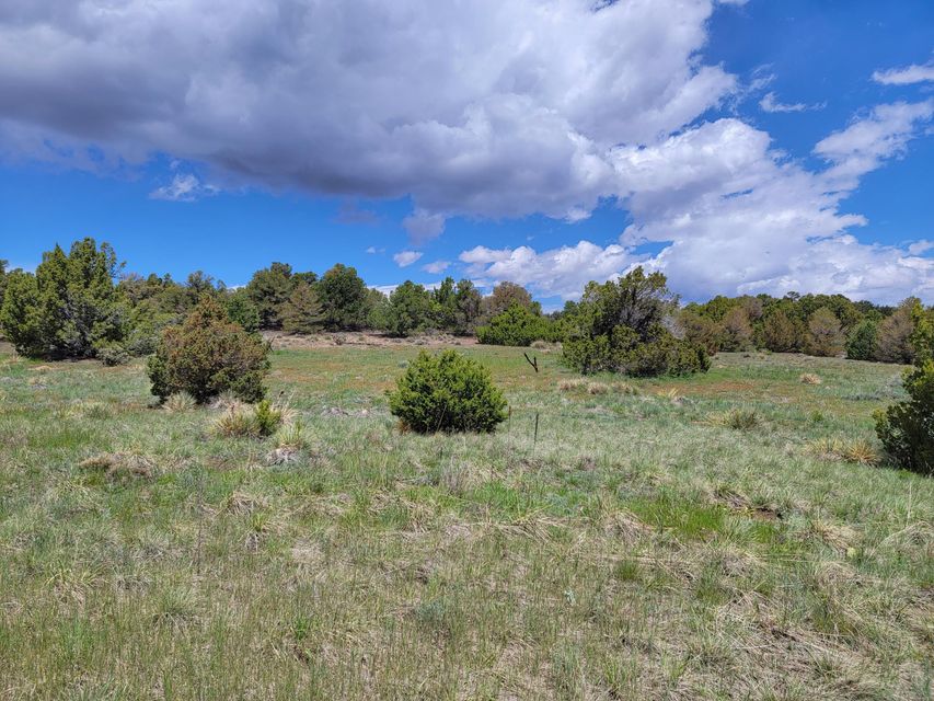 Navajo Ranch Resorts 2 65, Walsenburg Bachman & Associates Bachman