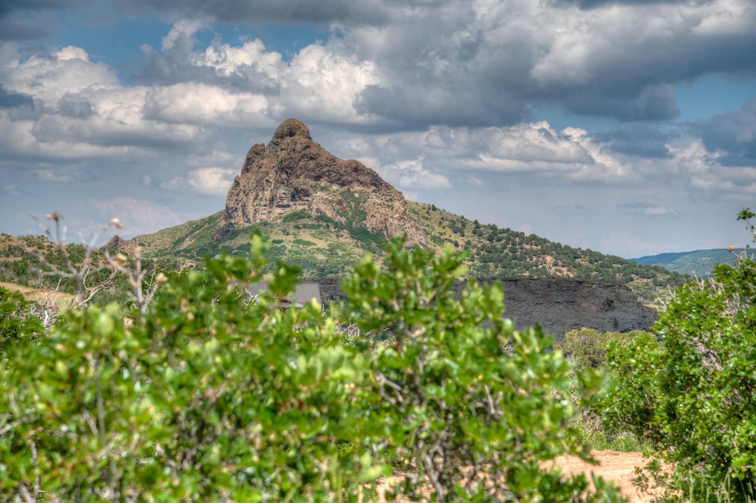 Lot 8 Piney Ridge Ranch, LaVeta Bachman & Associates Bachman & Associates