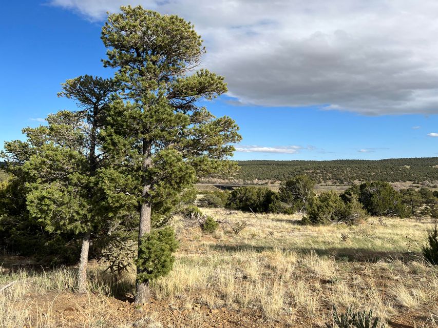 TBD Black Diamond Park Block 2 23, Walsenburg Bachman & Associates