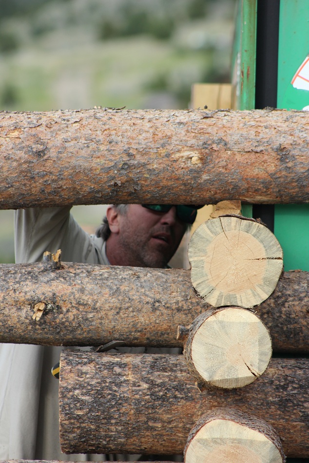 Hybrid Shipping Container Log Cabin Discover Containers