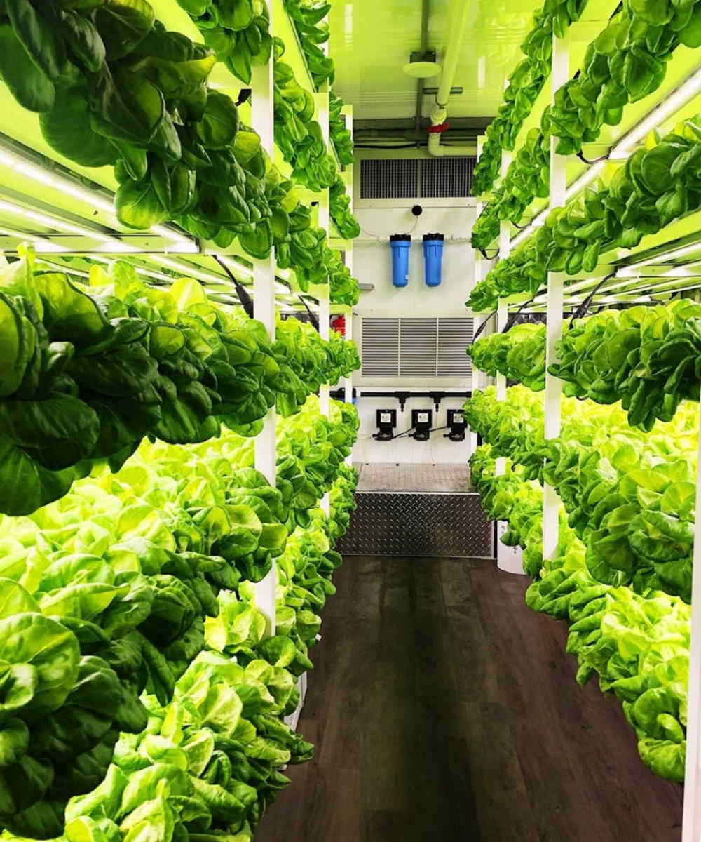 Ultimate Guide to Shipping Container Farms Discover Containers