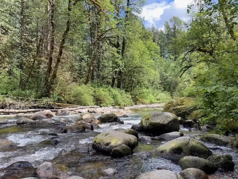 50 Amazing Metal Detecting in Nevada Facts to Know