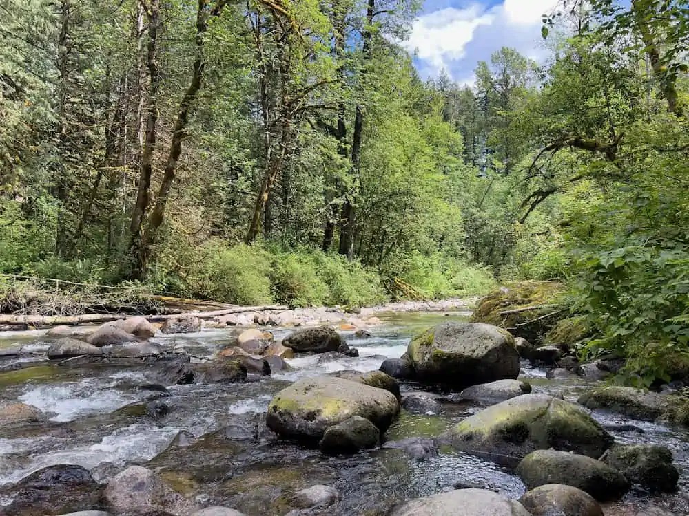 Metal Detecting in Washington State Key Tips You’ll Love