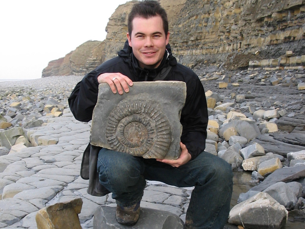 Fossil Hunting Guide Discovering Fossils