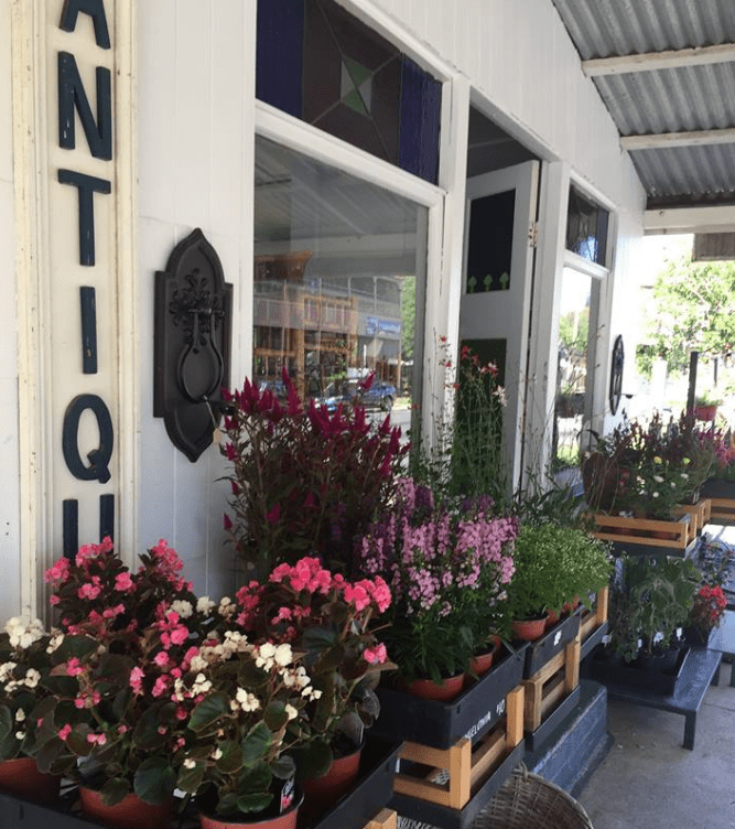 Need coffee? Here are 17 Ipswich cafes to check out Discover Ipswich