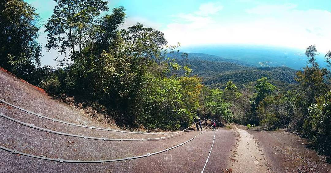 5 National Parks You Should Visit In Johor DISCOVER JB