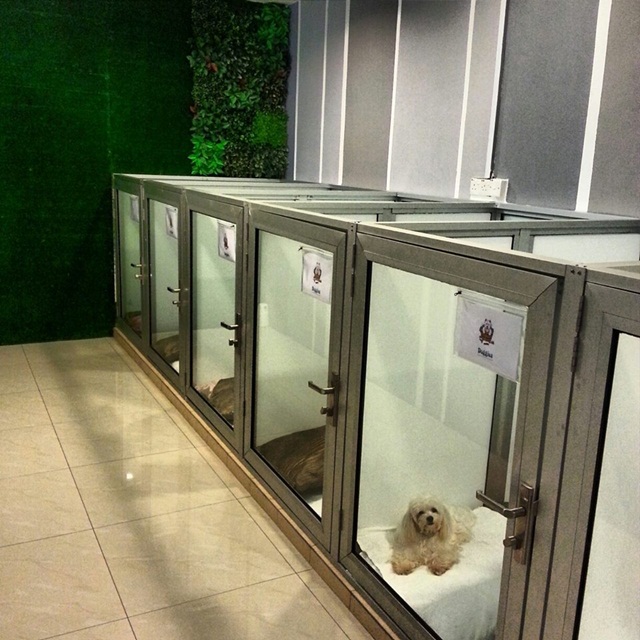 pet shop in johor bahru