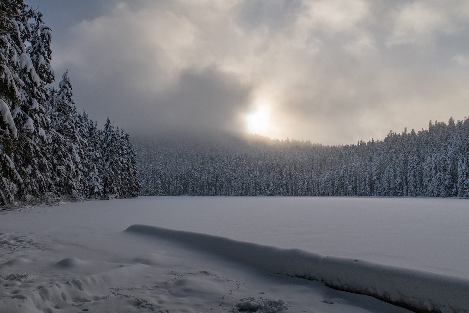 Snowshoeing at Lower Twin Lake Discover Mt. Hood