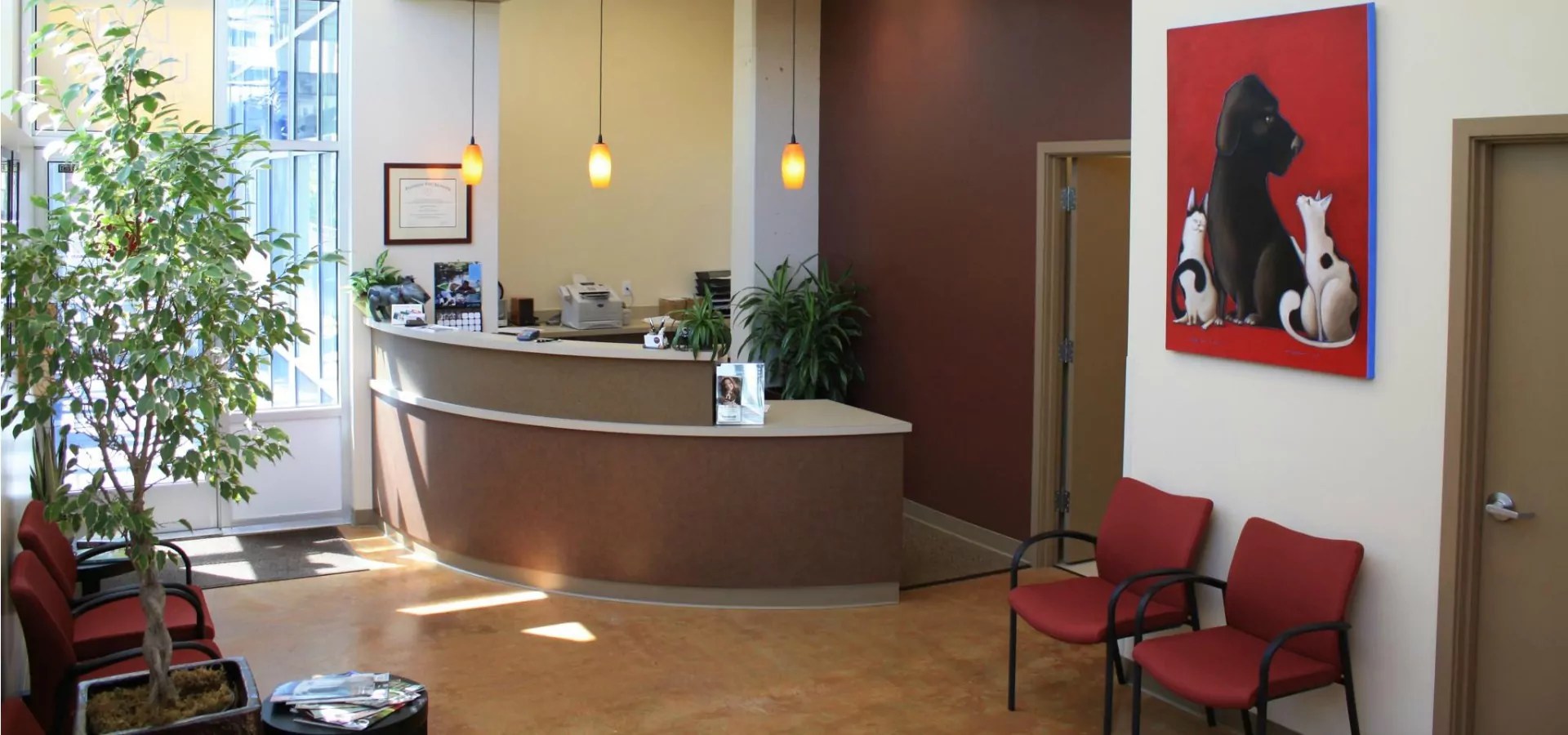 Lake Union Veterinary Clinic Discover South Lake Union
