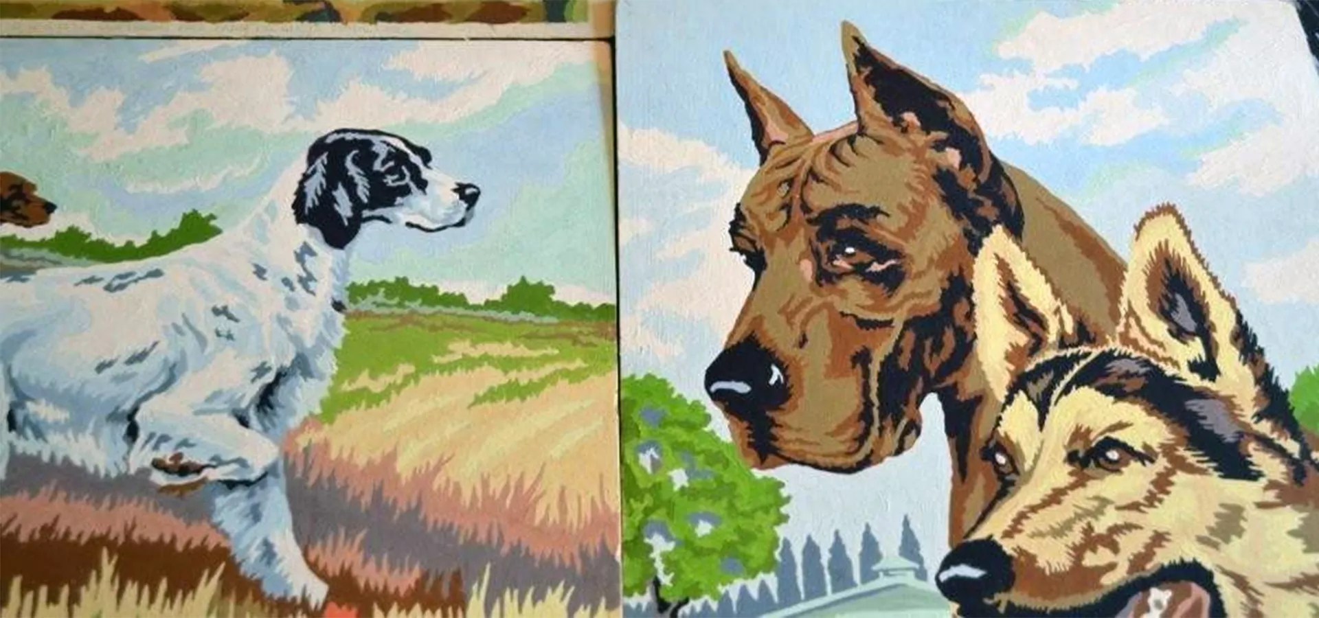 urban animal seattle downtown Ivette Wisniewski