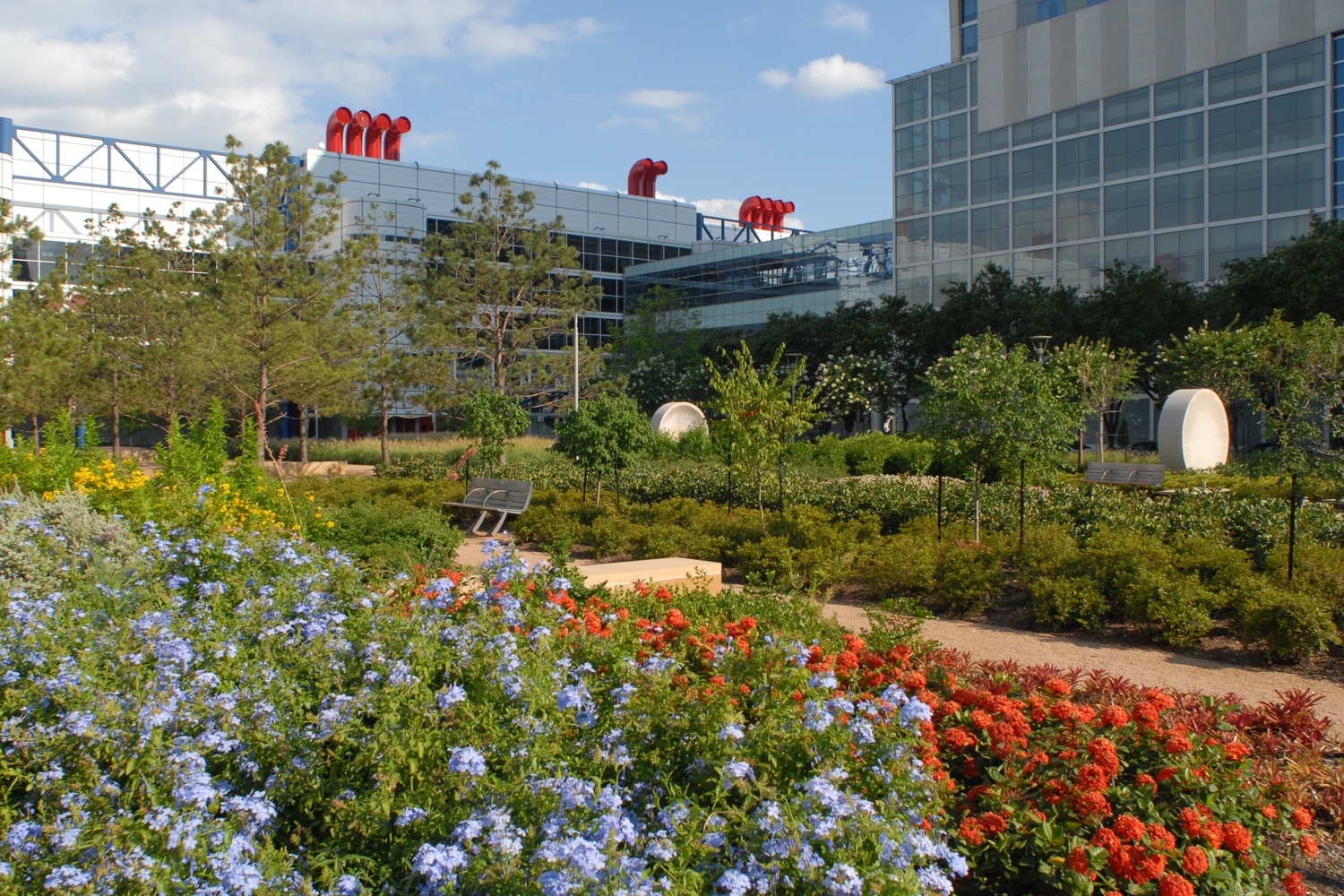 Allen Family Rose Garden Discovery Green