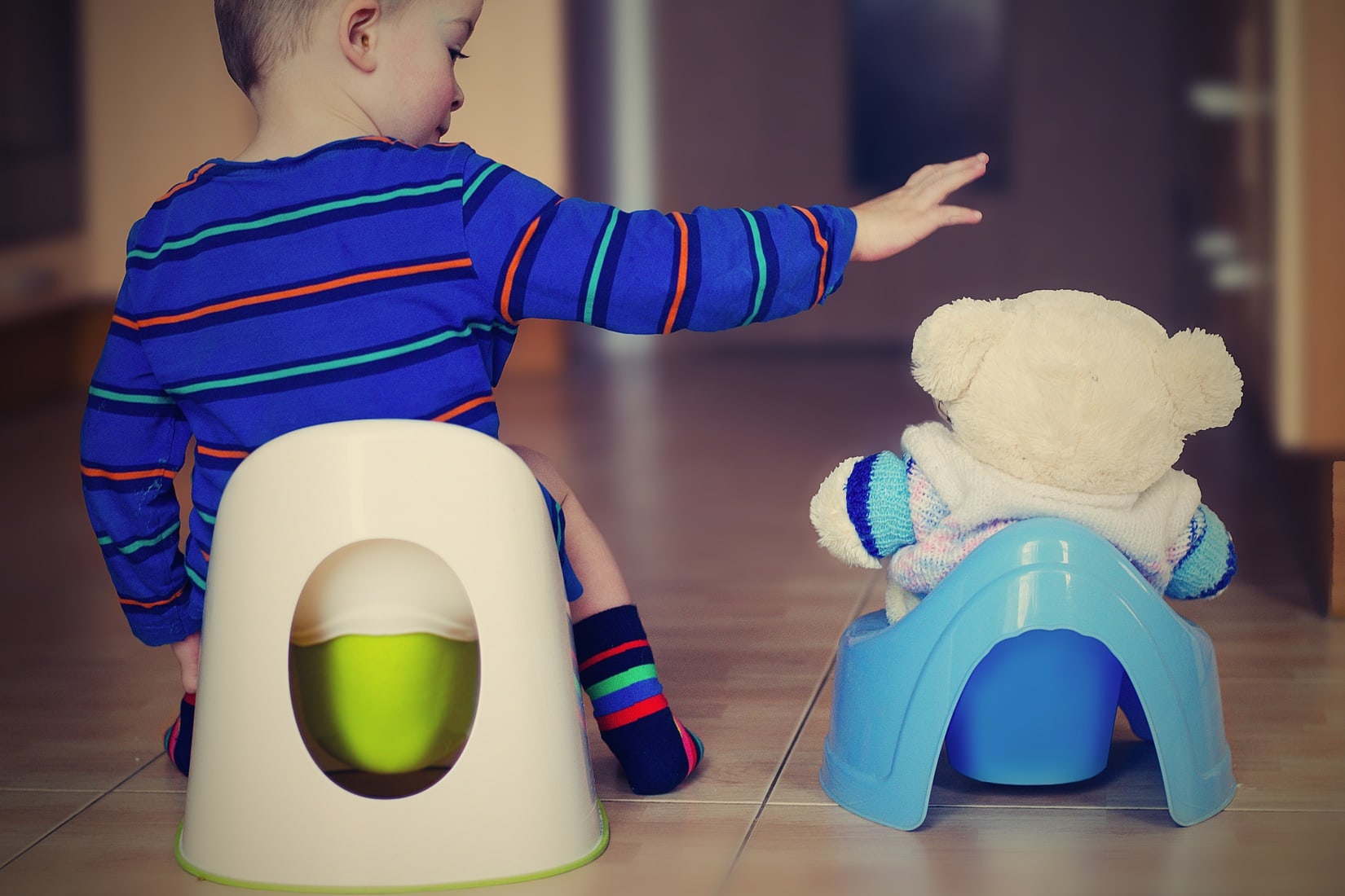 All You Need to Know about Potty Training Discovery World