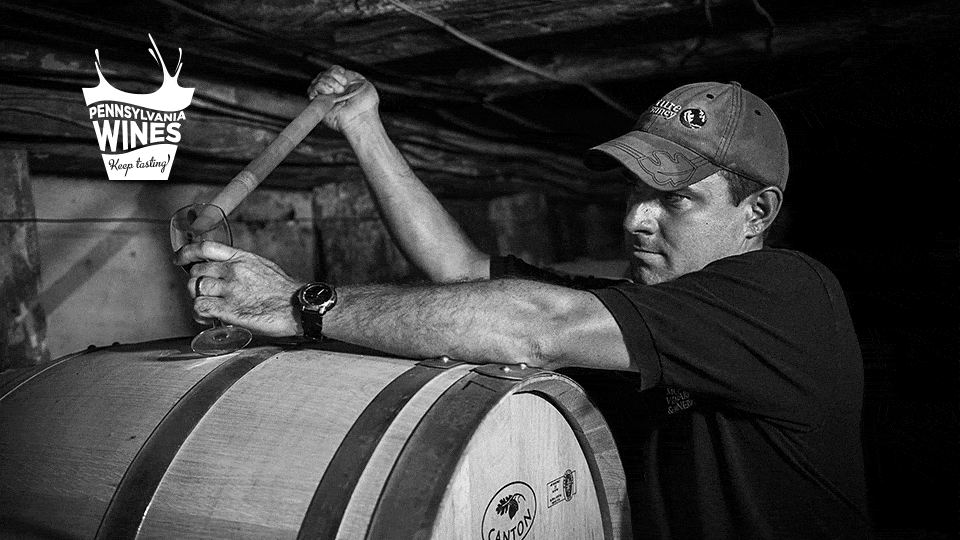 Animated GIF PA Wine Cellar 1 Dish Works