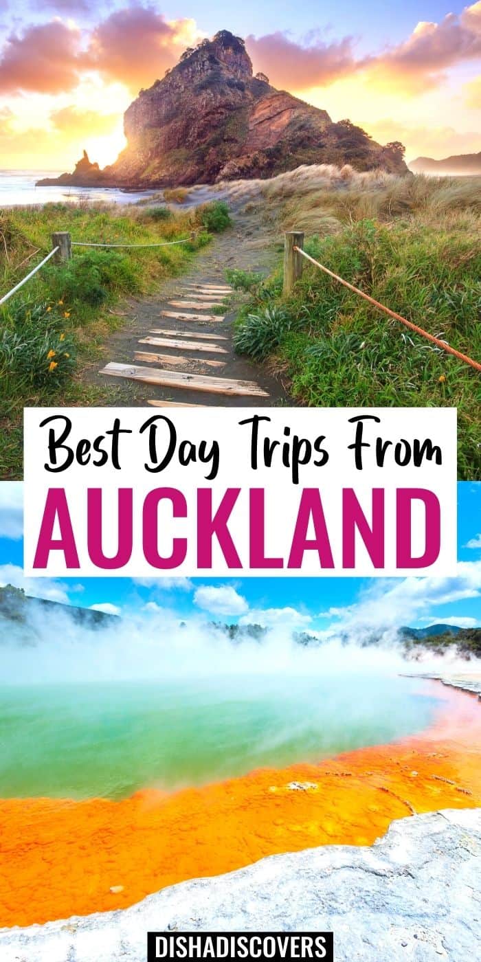 12 Best Day Trips From Auckland, New Zealand Disha Discovers
