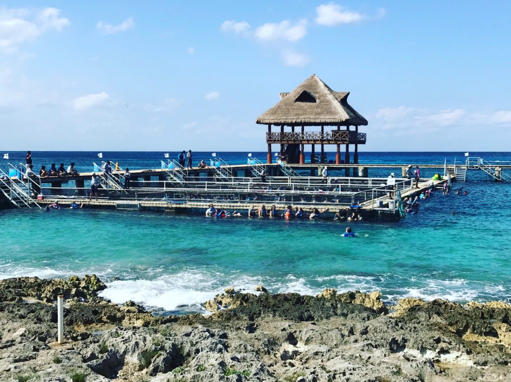 Excursion Review Cozumel Dolphin Discovery Through Disney Cruise Line