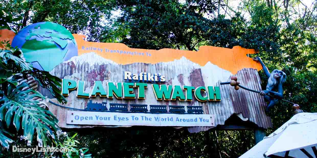 9 Facts and Secrets About Rafiki’s Watch at Disney’s Animal