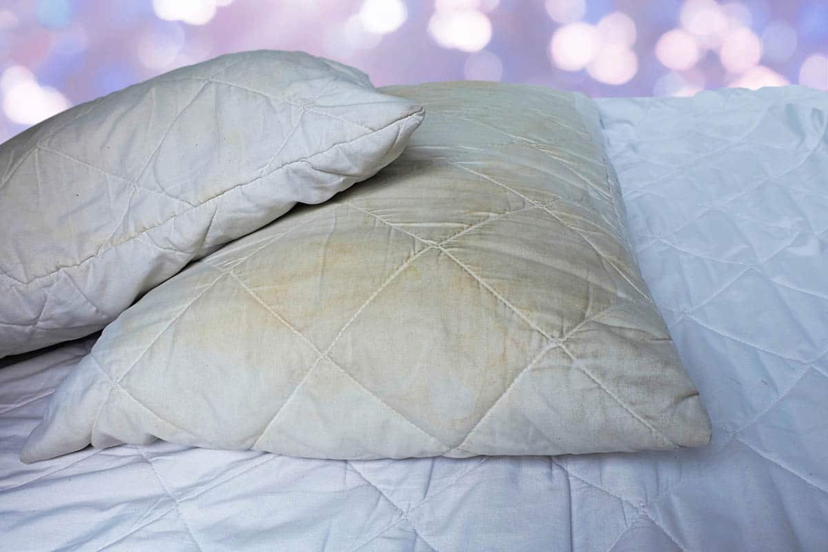 How To Dispose Of Memory Foam Pillows at Julia Norton blog