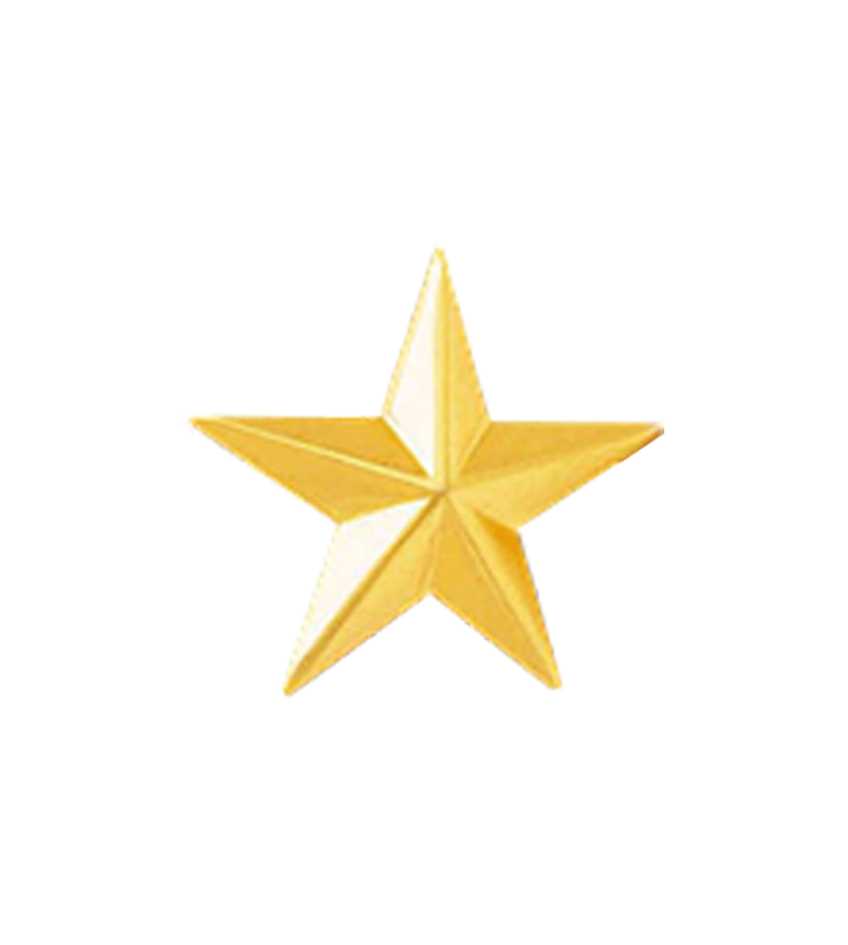 1 Gold Star