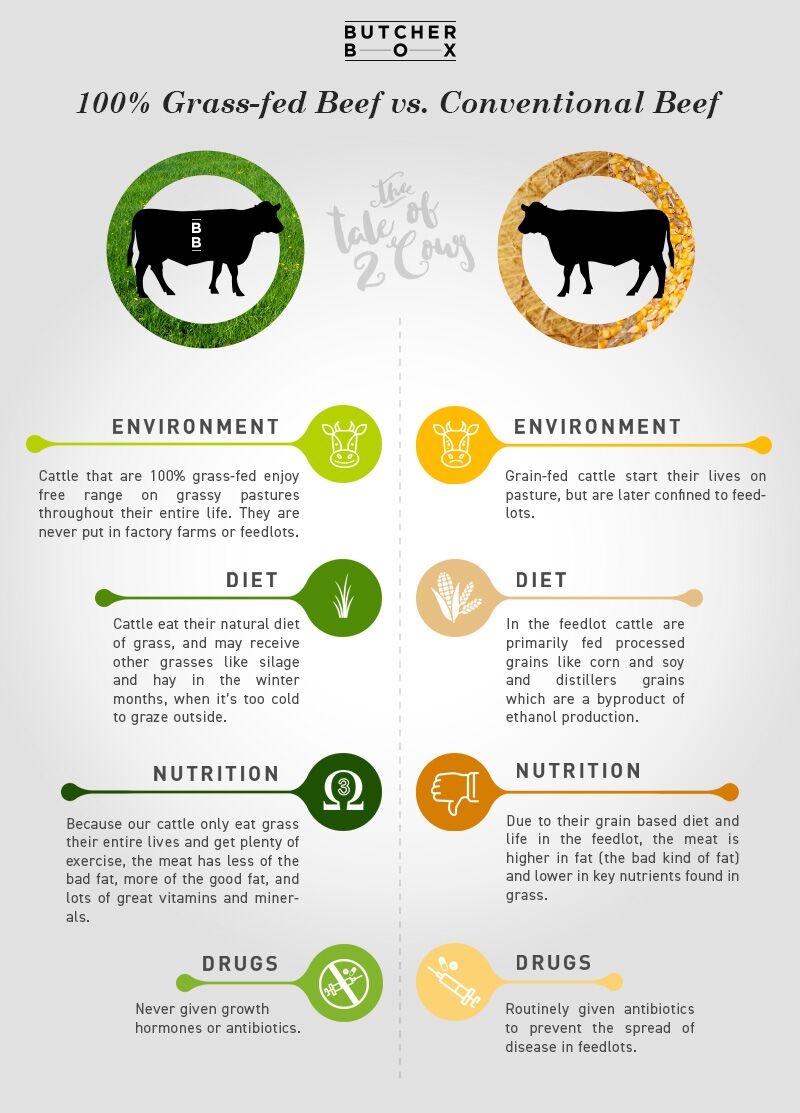 🐮 Is GrassFed Meat Really Better (Or Worth It)? 🐓 — Ditch The Carbs