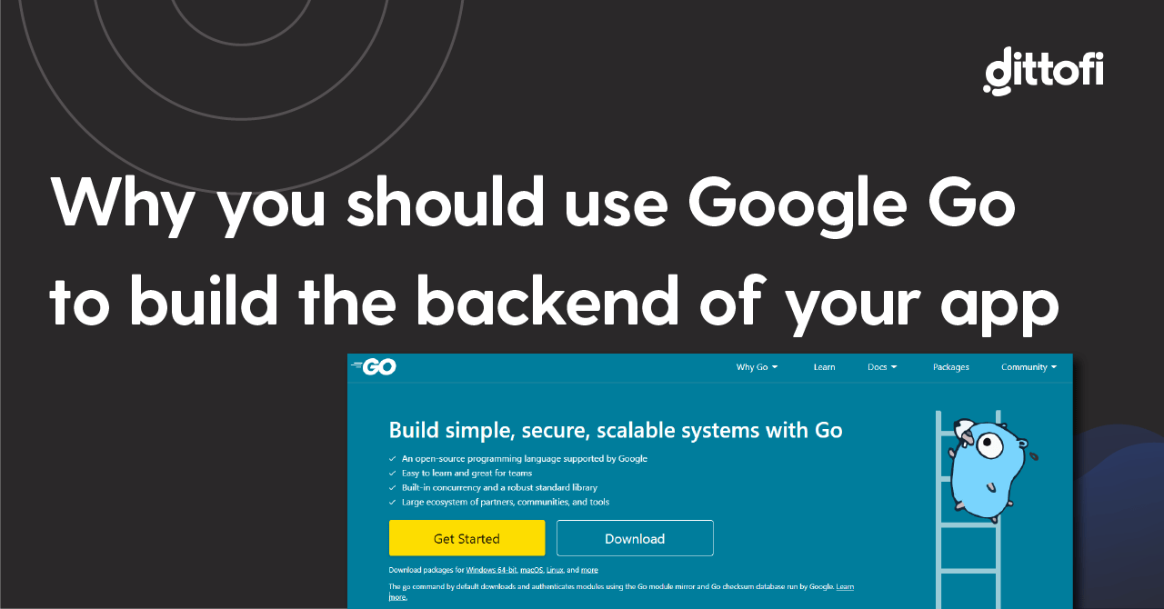 Why you should use Google Go (2023) Dittofi