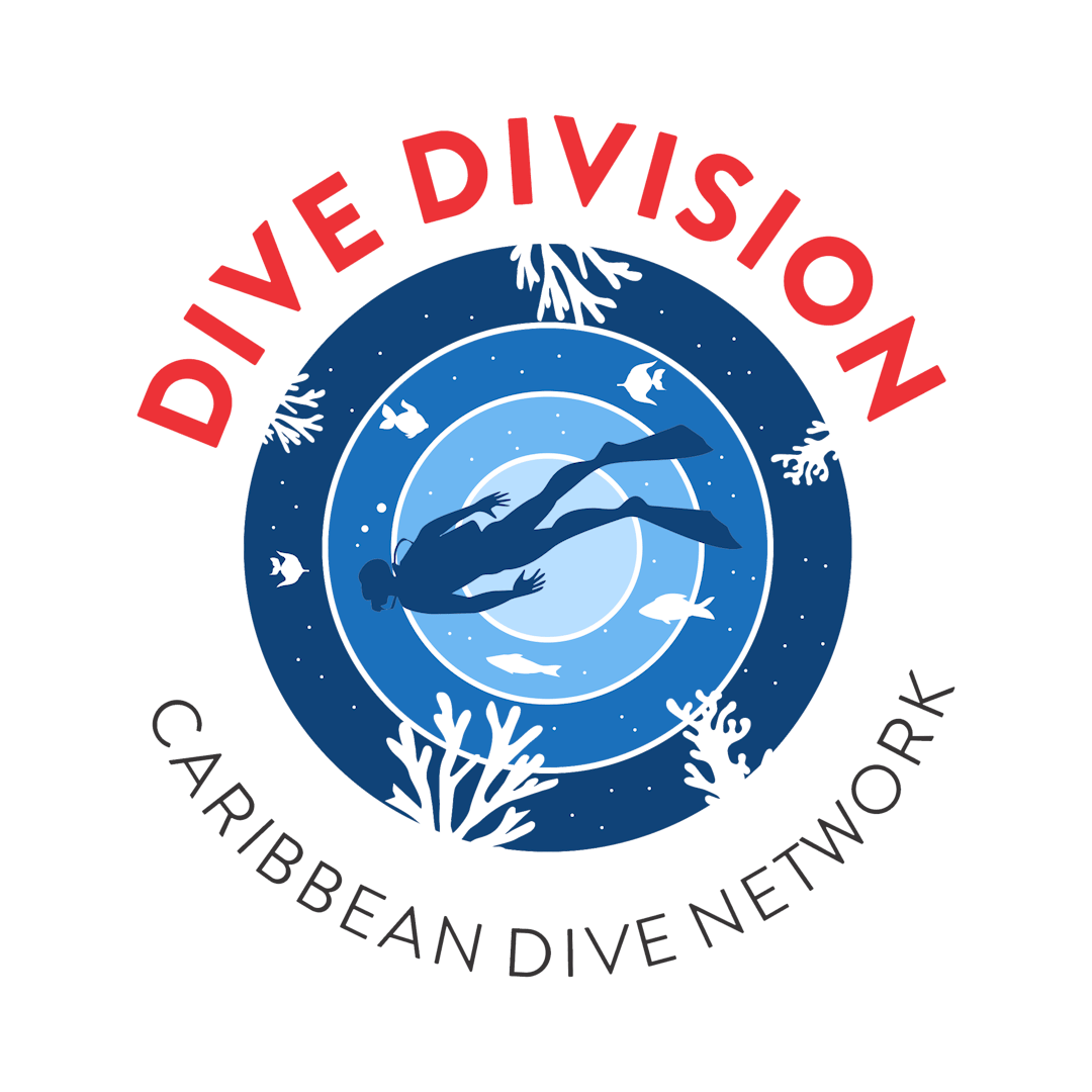 Jobs Dive Division