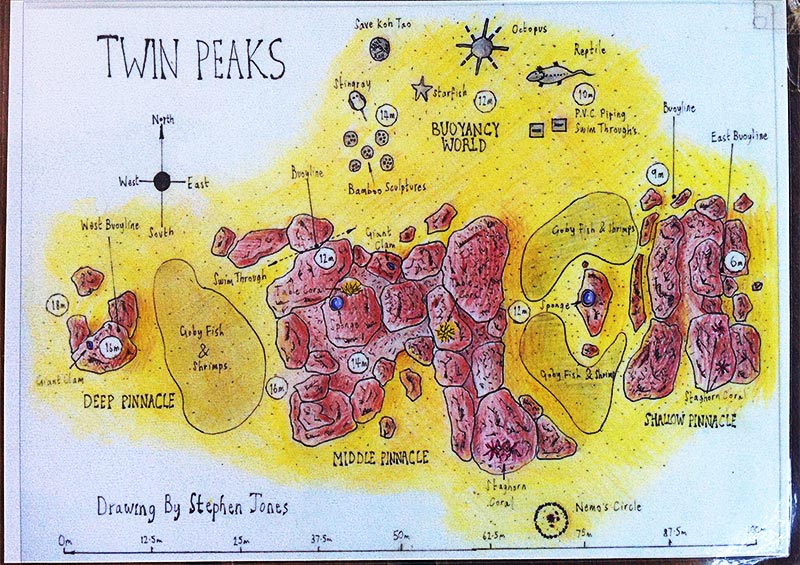 Divemaster Mapping Project Divemaster Courses Thailand