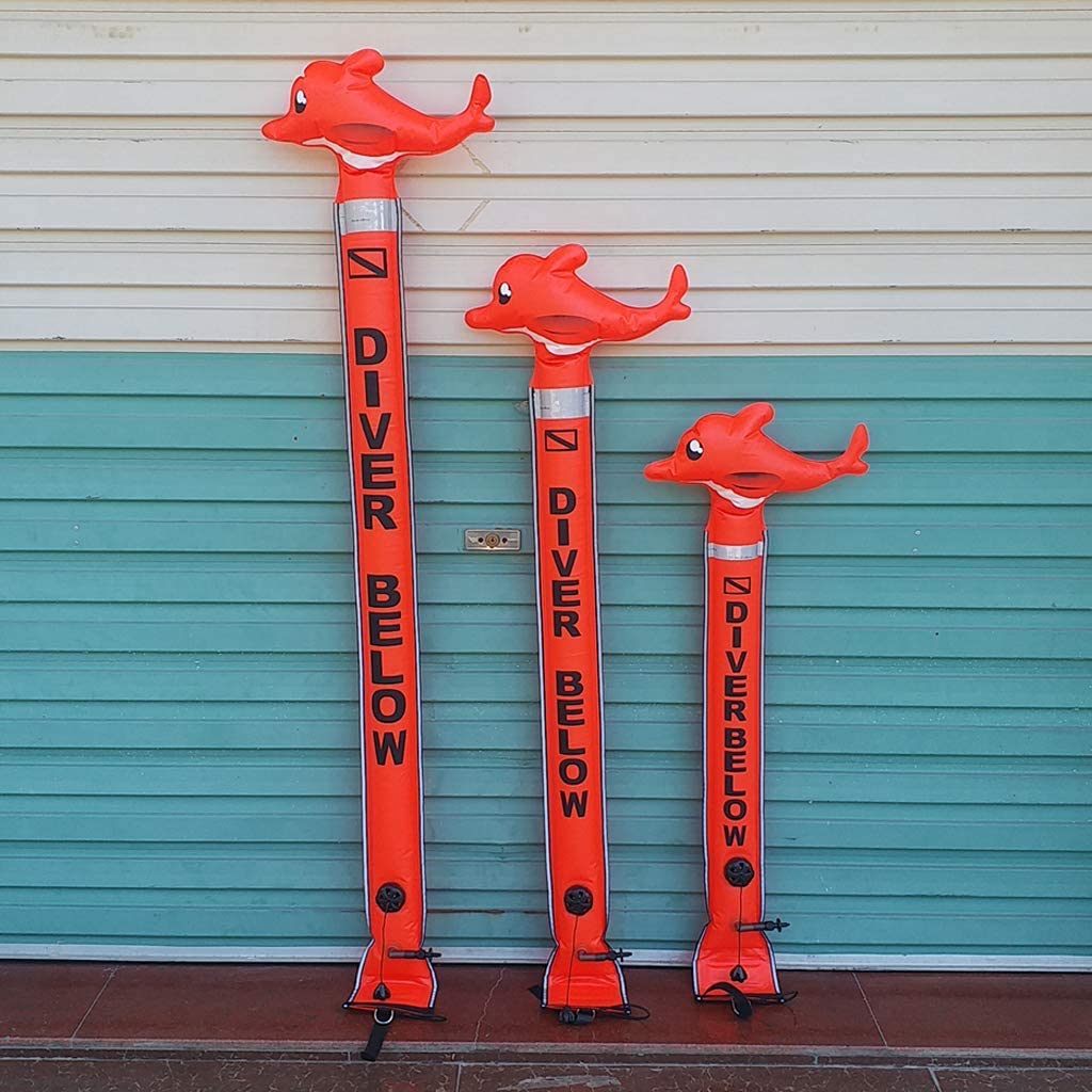 SCUBA QUIZ How Much Weight Do You Need? Dive O'Clock!