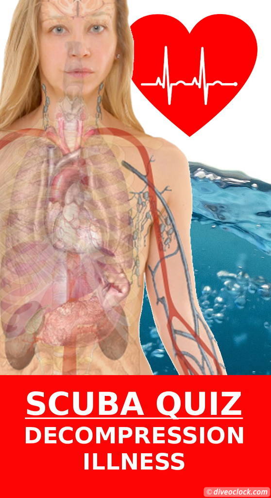 SCUBA QUIZ What is Illness? Dive O'Clock!