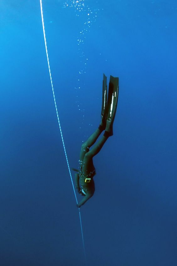PADI The Freediver Course Dubai United Arab Emirates