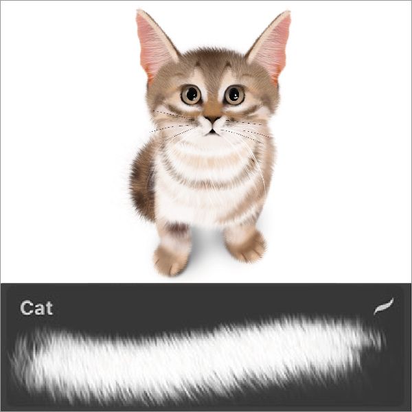 Hair ＊ Procreate Brush Set DiverDibujos