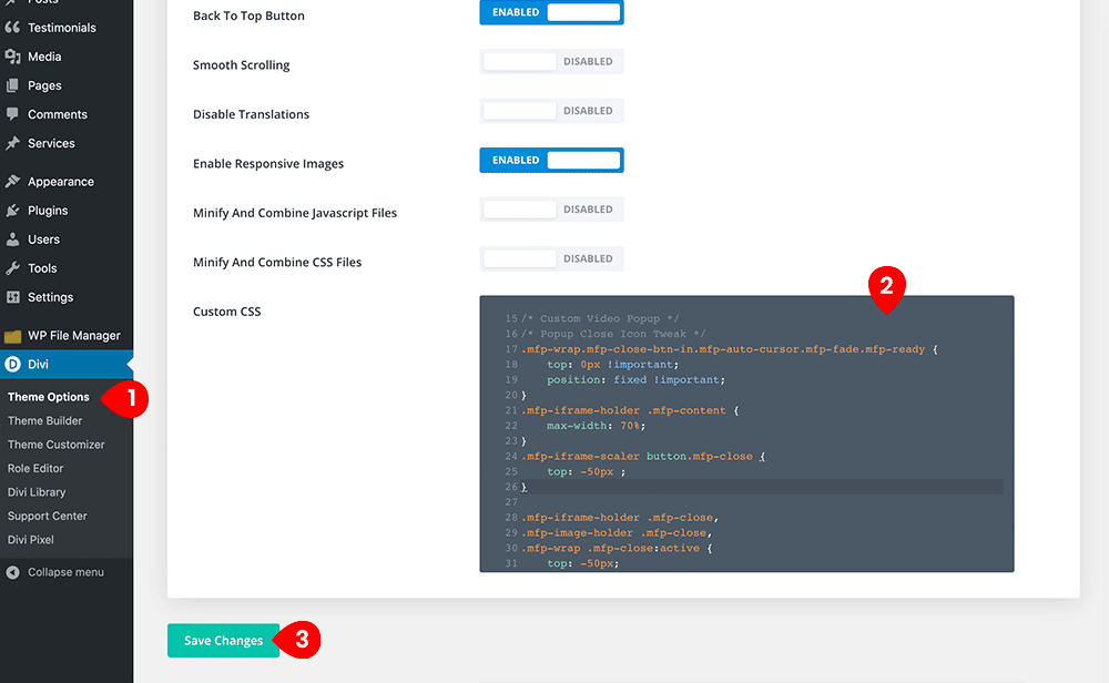 How To Create A Popup Video In Divi Without A Plugin