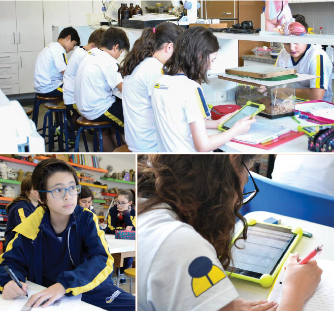 Ensino Fundamental Anos Finais Escola Divina Providência