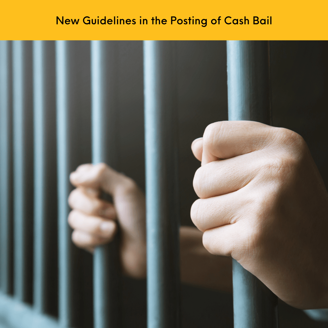 Bail me out 2.0 DivinaLaw