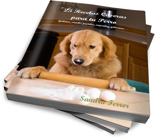 Recetas para perros Divine Chien