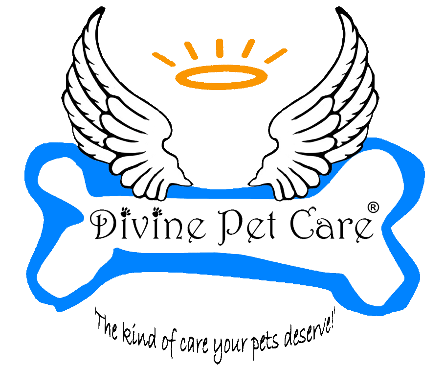 Inhome Pet Sitter San Diego, CA Divine Pet Care