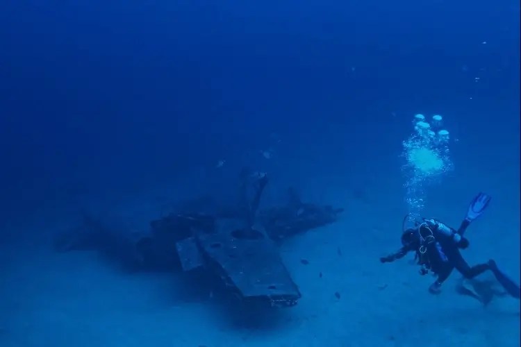 Best Scuba Diving in North Carolina Top 6 Sites Diving Lore