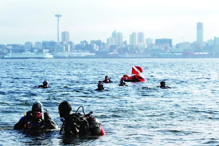 Best Places to Scuba Dive in Washington State Diving Lore