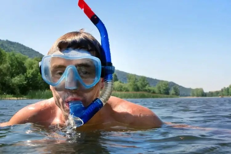What is a Dry Snorkel and How Does it Work? Diving Lore