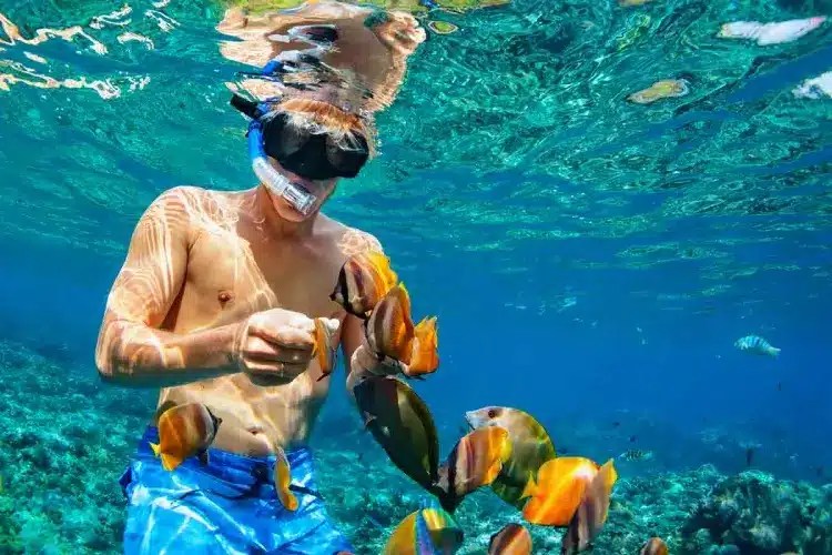 Can You Snorkel with Contact Lenses? Diving Lore