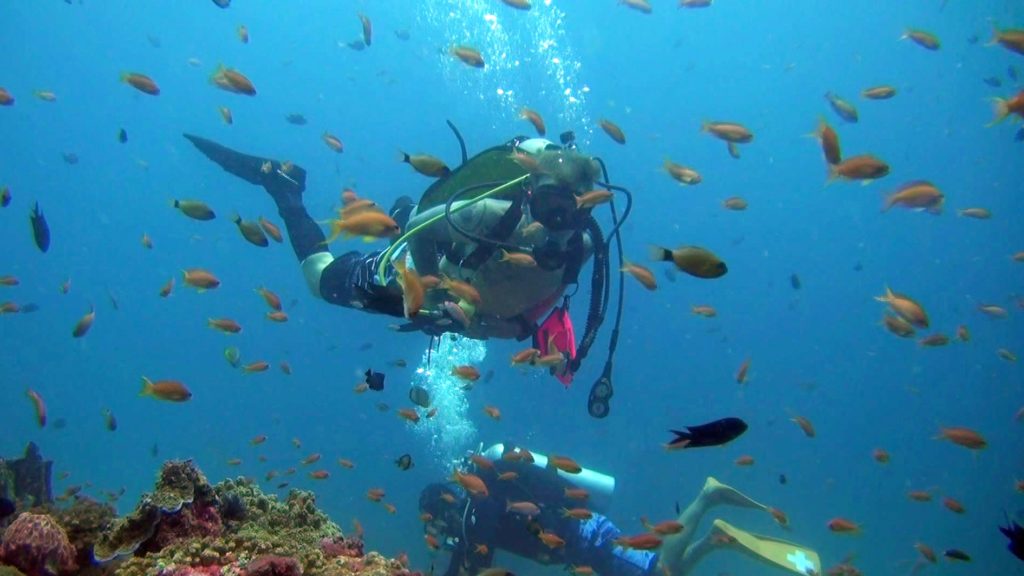 Scuba Diving BC Cressi Air Travel BCD Sports Diving & Snorkeling