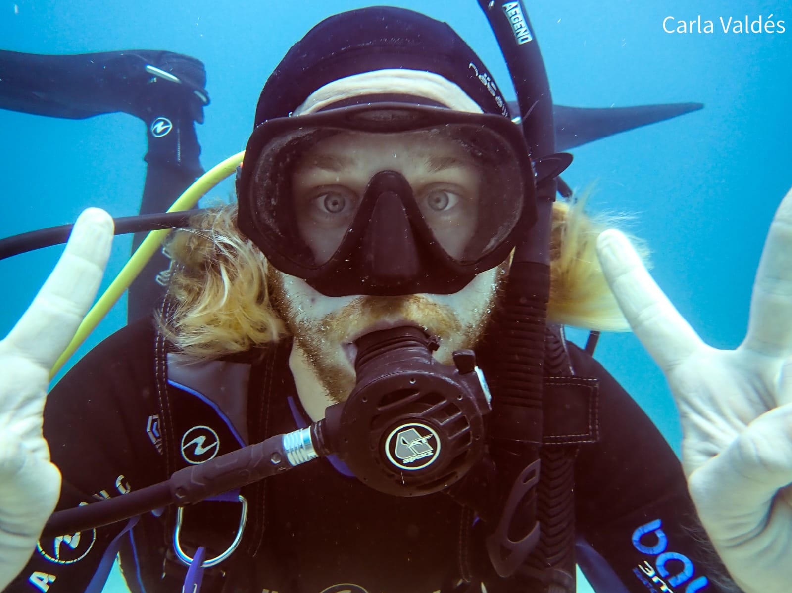 4 Fun Dive Package Utila The Best Scuba Diving in Utila