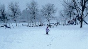 2016-02-02-17.26.14.jpg.jpeg