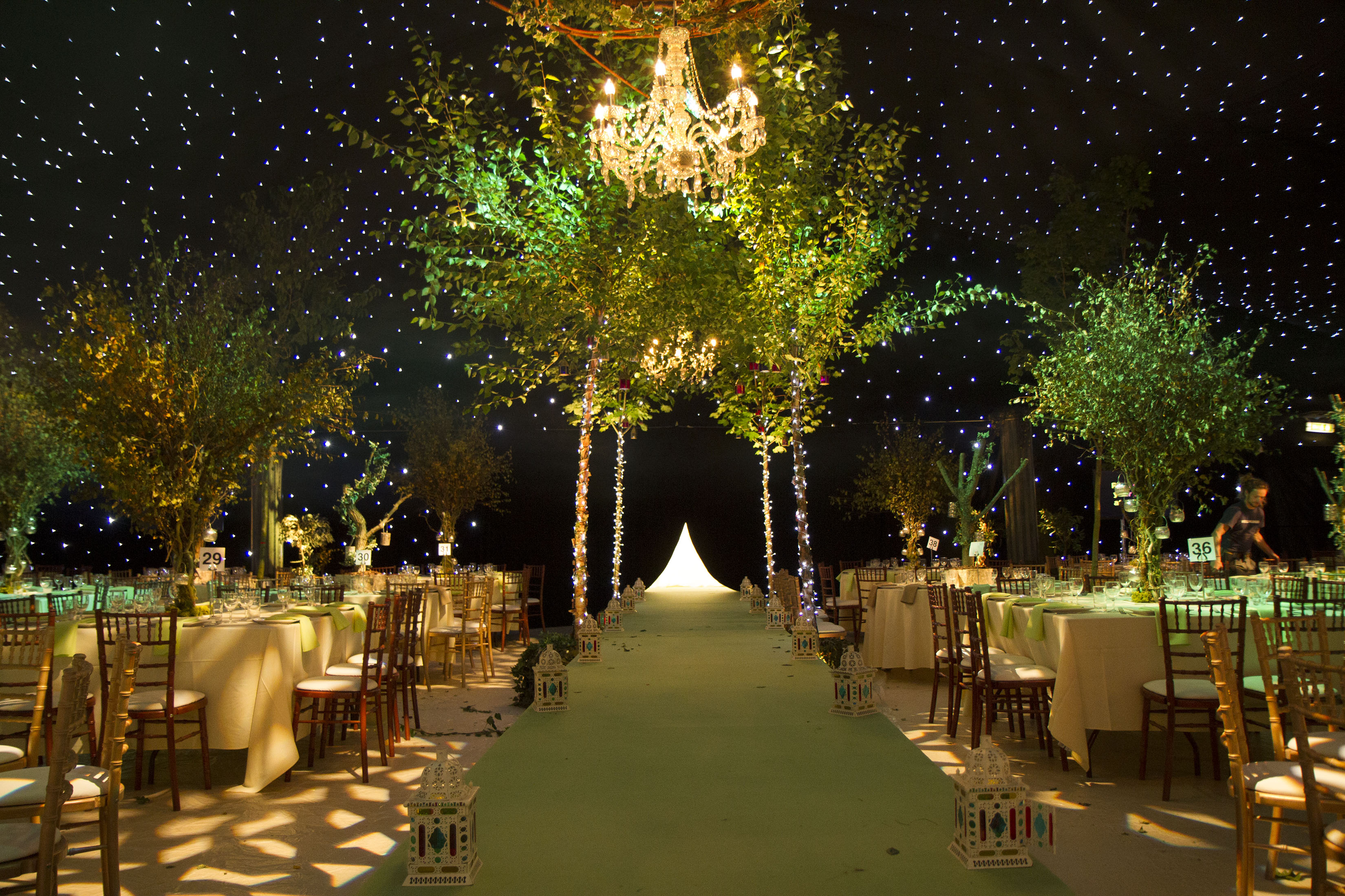 Offbeat Wedding Decor/Destination/Food, Wedding Planning