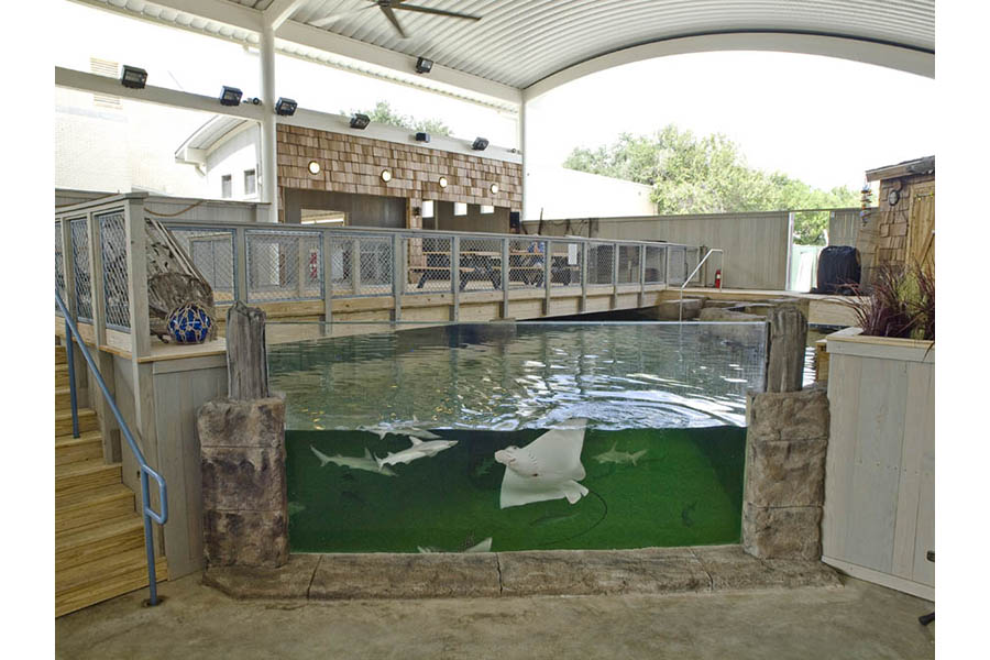 Children’s Aquarium at Fair Park Dixon Studios, LLC