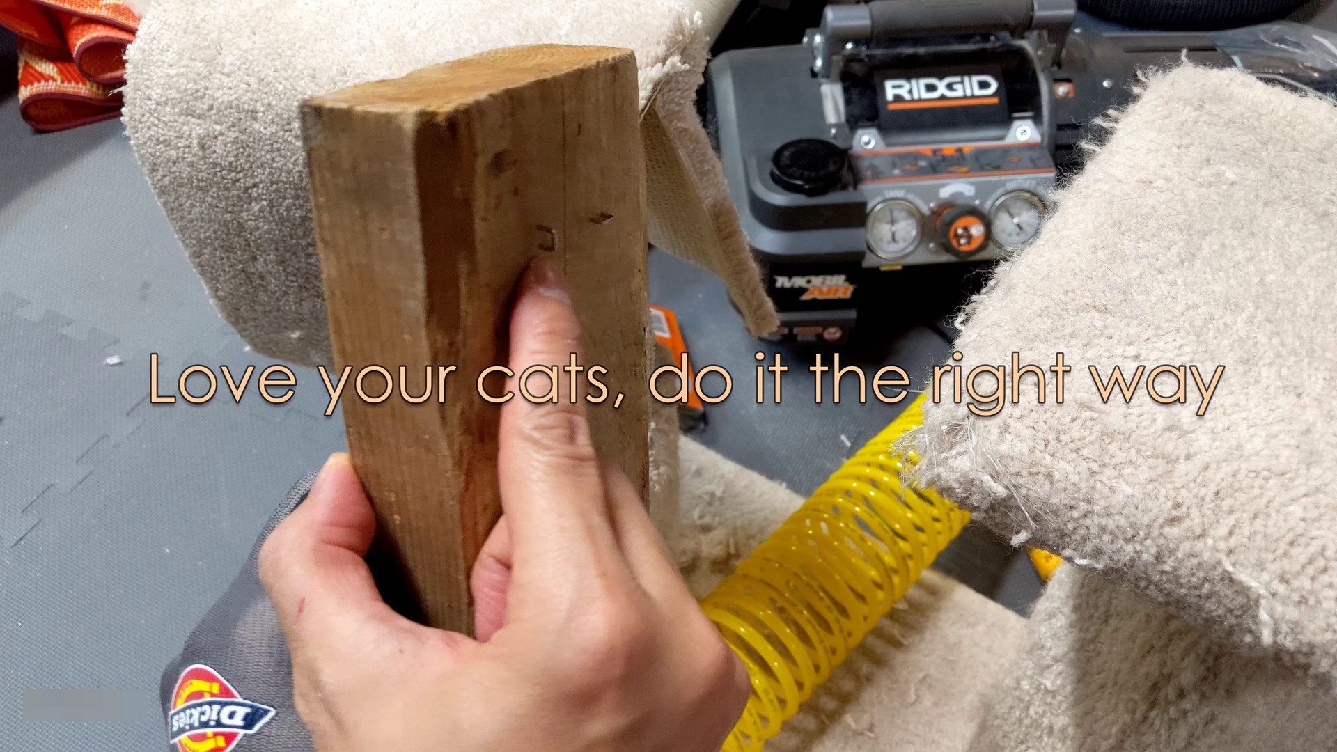 How to repair a scratching post for your beloved cats?