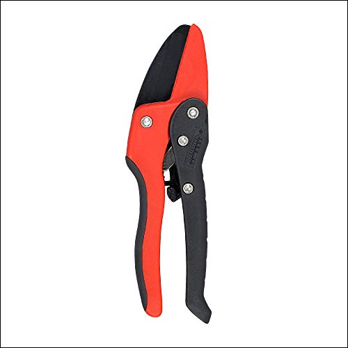Best Pruners For Arthritic Hands (2024 Update) Diy Happy