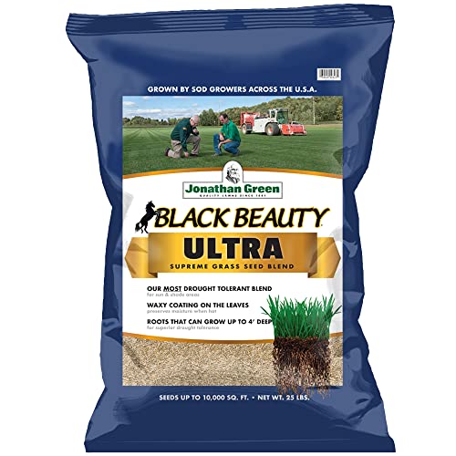 Best Grass Seed For Pacific Northwest (2024 Update) Diy Happy