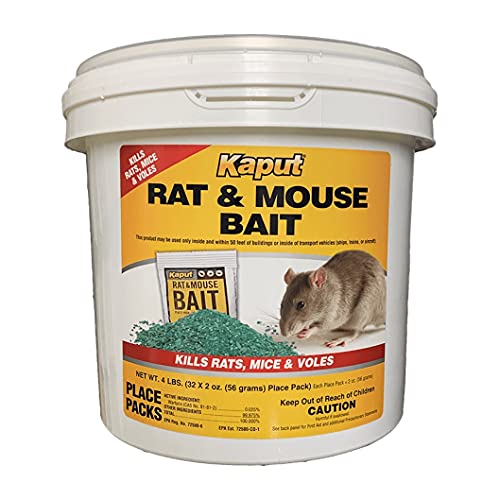 Best Bait For Mice And Rats (2024 Update) Diy Happy