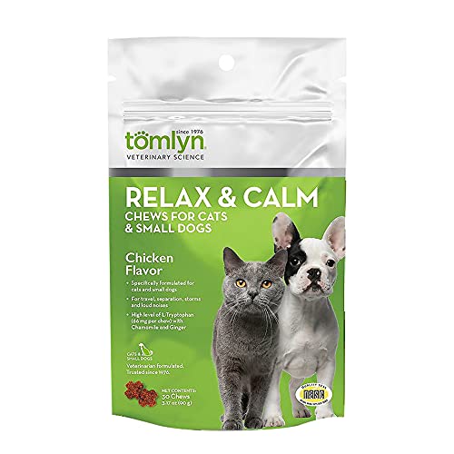 Best Calming Treats For Cats (2024 Update) Diy Happy
