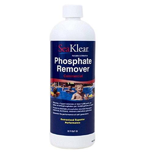 Best Phosphate Remover For Pools (2024 Update) Diy Happy